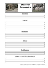 Damarazebra-Steckbriefvorlage.pdf